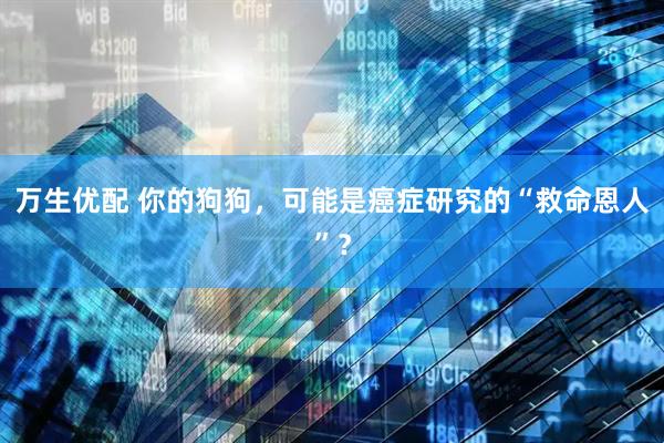 万生优配 你的狗狗，可能是癌症研究的“救命恩人”？