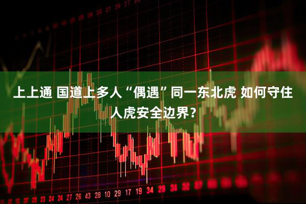 上上通 国道上多人“偶遇”同一东北虎 如何守住人虎安全边界？