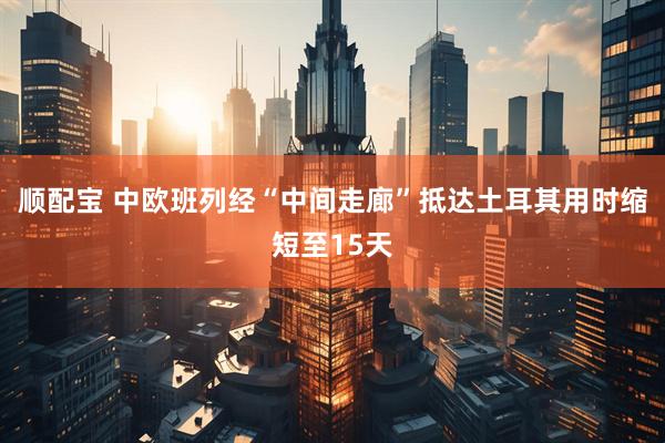顺配宝 中欧班列经“中间走廊”抵达土耳其用时缩短至15天