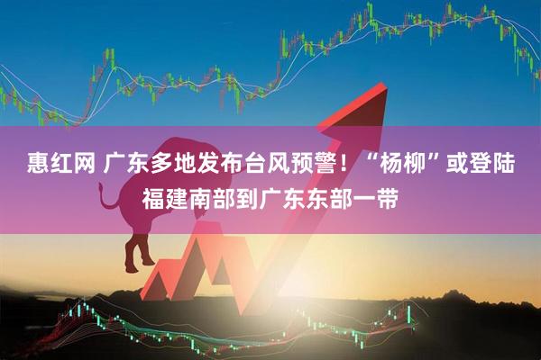 惠红网 广东多地发布台风预警！“杨柳”或登陆福建南部到广东东部一带