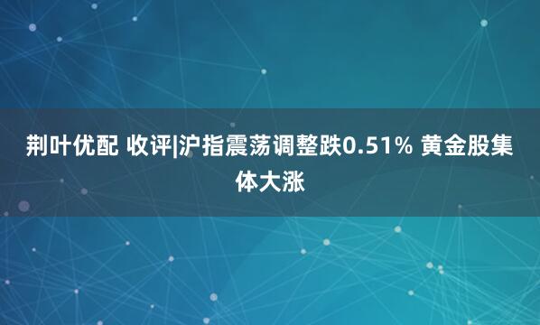 荆叶优配 收评|沪指震荡调整跌0.51% 黄金股集体大涨