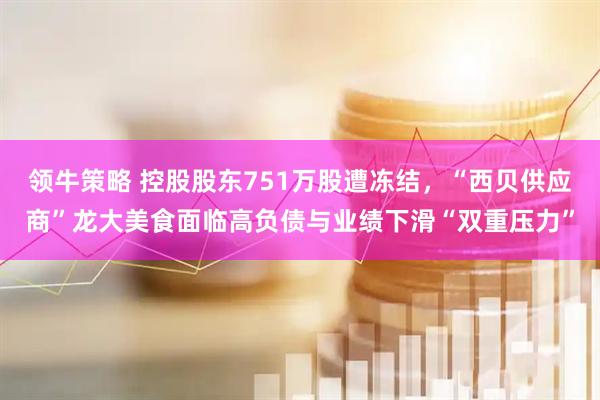 领牛策略 控股股东751万股遭冻结，“西贝供应商”龙大美食面临高负债与业绩下滑“双重压力”
