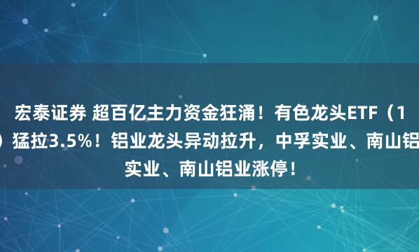 宏泰证券 超百亿主力资金狂涌！有色龙头ETF（159876）猛拉3.5%！铝业龙头异动拉升，中孚实业、南山铝业涨停！